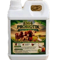 em4 probiotik penggemuk ternak