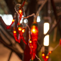 led戶外新年春節紅辣椒太陽能小彩燈串燈室外防水裝飾燈過年家用