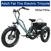 3 Wheel Electric Cargo Tricycle 500w Long Range Fat Tire Adult Electric Bike 20 Inch Electric Trikes With Basket