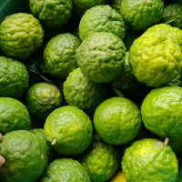 Jeruk Purut Kaffir Lime berwarna kuning dan hijau - 1/2 kg untuk Meningkatkan Kesehatan Tubuh - Buah