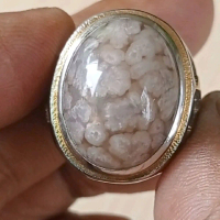 Bacan albino kura ceplok natural