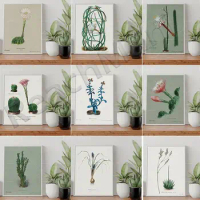 Peruvian apple cactus, easter lily cactus, aloe vera, snake cactus, sun cactus botanical poster, illustration, watercolor