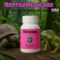 MR TORTO - REPTILE MEDICARE // OBAT REPTILE // OBAT TORTOISE // OBAT ANTIBIOTIK REPTILE // OBAT LEMA