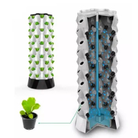 Aeroponic Growing Towers Hydroponics Vertical Garden Systems Hydroponic Systems indoor Pvc Pineapple Planting Type Vertical