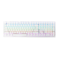【Ducky】Zero 6108 100%RGB 3模無線機械式鍵盤 Cherry MX2A軸 中文 經典白(茶軸/青軸/紅軸)
