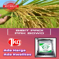 BENIH PADI VARIETAS PAK BOWO Bibit Unggul Tahan Wereng Kwalitas Terbaik/Kemasan 1Kg