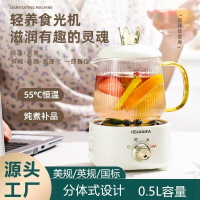 110v迷你養生壺小型辦公室養生杯燒水壺mini小型一人電燉杯煮茶壺