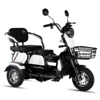 Cabin Cargo Electric Tricycles T3-XK China Best Quality Adult 750 800 Watt 48V Trike Bicycle 3 Wheel Conversion