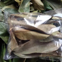 jual daun salam kering 500 grm