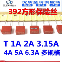 ฟิวส์สี่เหลี่ยม ขนาด 392 ชิ้น 250V หลอดฟิวส์ เป่าลมอ่อนโยน มีให้เลือก T1A, T2A, T3.15A, T4A, T5A, T6