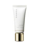 รองพื้น Skincare Cream Tint 40 กรัม