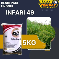 BENIH PADI INFARI 49 JUMBO KEMASAN 5KG BERKUALITAS TINGGI
