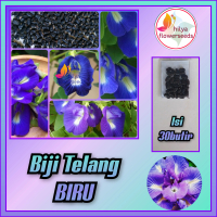 Biji Telang biru