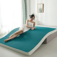 latex sponge filling Mattress Floor mat Foldable Slow rebound Tatami Cotton Cover Bedspreads thickness Twin King Queen Size