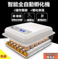 買孵化機🔥🔥🔥 110V12V 自動雞蛋孵化器 24366496枚蛋 雞蛋孵化機 禽鸡鸭家禽全自動孵蛋器