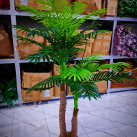 bunga palem .kelapa cabang 2 dekoarasi rumah pohon palem 2 cabang denngan fos pot rotan