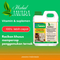 Jawara herbal penggemuk sapi