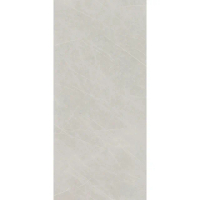 【台中大板磚】永恆石-珍珠-亮面 西班牙大板磚 120x260cm(薄板/磁磚/地磚/壁磚/電視牆/中島/施工/每片)