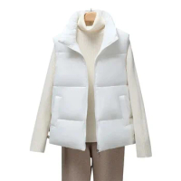 Downy Cotton Vest Jacket Short Women's Autumn Winter 2024 New Korean Sleeveless Coat Loose Thickened Wear Waistcoat Ladies Tops