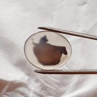 Batu Kristal Gambar Multitafsir - Dendrite Crystal Chalcedony. Bukan Batu Bacan Doko Majiko Yaman D