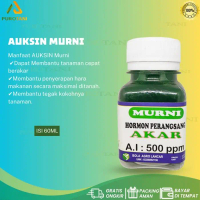 PRTN Stimulan Hormon Akar Auksin Murni ZPT Akar Auxin Murni IH195CUCI GUDANG