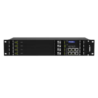VoIP Digital Trunking Gateway MTG200 with 1E/T1 ,2E1/T1 port , Dinstar series MTG1000B/MGT2000/MGT3000