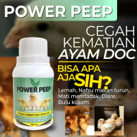 power peep untuk ayam doc - memaksimalkan pertumbuhan dan mengatasi masalah kesehatan ayam doc