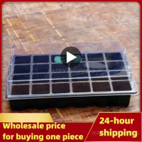 Set 24 Holes Seedling Tray Seedling Box With Big Holes Gardening Flower And Plant Pots Greenhouse Seed Planting Box With