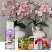 Yegbong Orchid Growth Fertilizer Solution: Plant Flower Buds, Flowers, Organic Foliar Fertilizer, Root Growth Nutrient Solution