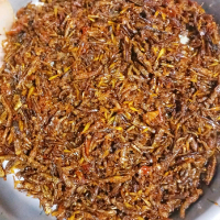 Walang Goreng Uthes kemasan 1 kg Food Snack Pedas Kering Cemilan