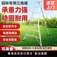 【台灣公司 超低價】果園梯子農用修剪梯凳園林專用三角梯果樹采摘梯鋁合金園藝三腳梯