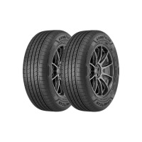 【GOODYEAR 固特異】輪胎固特異 AMG-2155517吋_二入組_215/55/17(車麗屋)