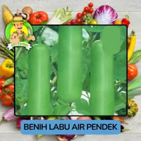 Jenis Bibit Sayuran Labu Benioh Sayur Labu Air Pendek