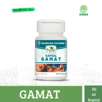 Gamat Kapsul HNI HPAI Mengatasi Sakit Pinggang dan Nyeri Sendi