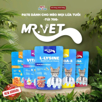 Pate Mr.Vet Túi 70G - Thức Ăn Cho Mèo Mr.Vet Bổ Sung Dinh Dưỡng - Tăng Sức Đề Kháng Cho Mèo Mọi Lứa 