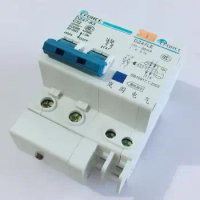 DZ47-63 DZ47LE 2P circuit breaker household Earth Leakage protector 10A 16A 20A 25A 32A 40A 63A