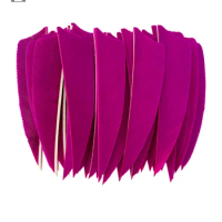 50PCS 3 Inch Turkey Feathers for Arrows Shield Cut Archery Feather Fletching Bow and Arrow Archery Accessories