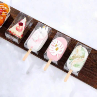 Ice Cream Chocolate Cake Boxes with Popsicle Stick Clear Plastic