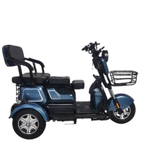 China Factory Electric Scooter Bike 3 Wheel Adult Electric Tricycle for Sale Passenger Seats