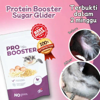 PRO BOOSTER 50gr PROBOOSTER PROTEIN HEWAN VITAMIN PROTEIN SUGAR GLIDER