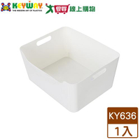 KEYWAY聯府 比利整理收納盒(大)KY-636台灣製 置物盒 提把設計【愛買】