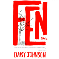 Bookxcess - FEN: STORIES (ISBN: 9781555977740)