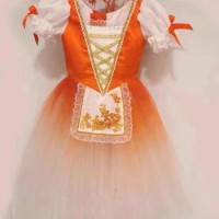 2024 Latest Ballet Dress Giselle's Unstoppable Daughter Cobelia Children's and Adult Performance Costumes
