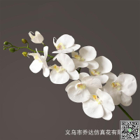 蝴蝶蘭仿真花仿真花束婚慶假花裝飾插花花藝婚禮高檔絹花蝴蝶蘭-UM.有米家居