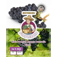 Bibit Anggur Australia Black | Biji Benih Anggur Australia