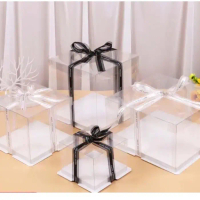 Box Mika Transparan 30x30 cm