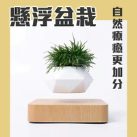 神奇！懸空的植物擺飾【懸浮盆栽】磁浮 飛起來 植栽 布置 花盆 觀葉 造景 辦公室 送禮 交換禮物 入厝禮 綠色 多肉