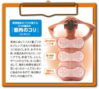 【日本健康部屋】日本腰部按摩 腰部矯正 痠痛改善 駝背使用 多功能腰部按摩器 腰椎盤突出肩頰骨腰疼日本設計