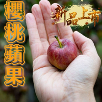 台灣福壽山-新品種 櫻桃蜜蘋果(600g+-10% ,約8~12粒)
