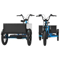 48V 52.5Ah littium battery electric bike 3 wheel for adult cargo bike